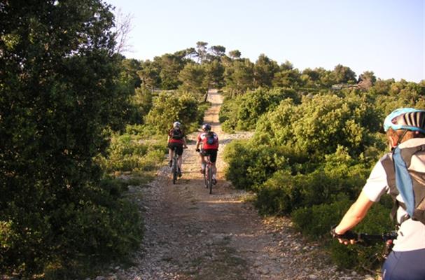 Randonnée VTT