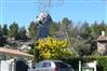 Maussane les Alpilles