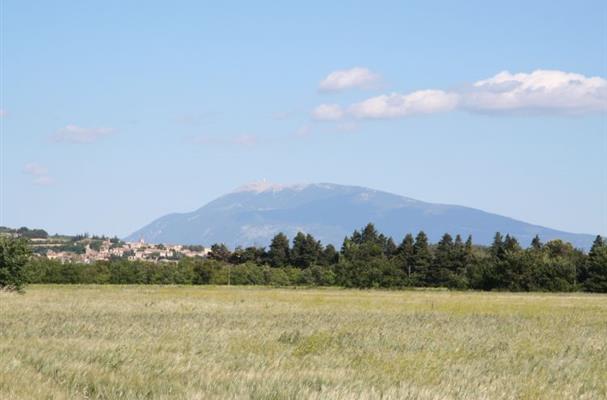 Visan et le Ventoux