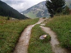 Sentier Rando