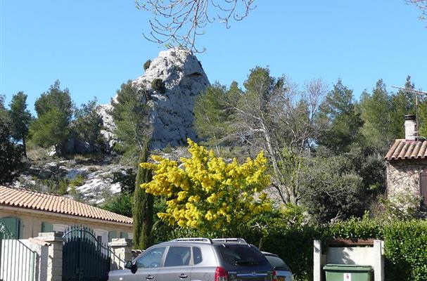 Maussane les Alpilles