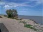 Camargue - rive nord de Vaccarès