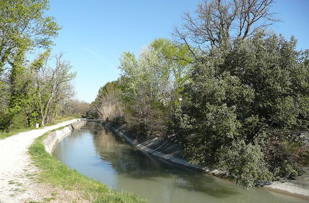 Canal de Carpentras - près de Cambuisson