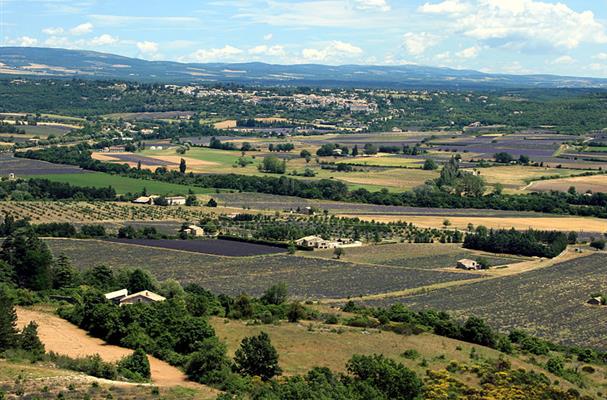 Sault - Vue générale