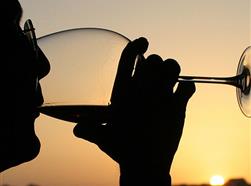 Vins