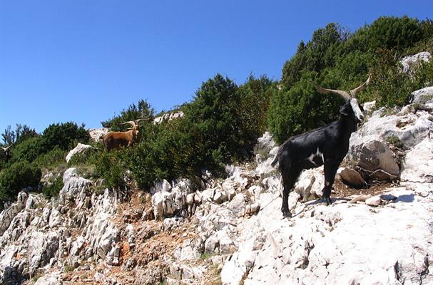 Gorges du Verdon