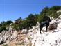 Gorges du Verdon