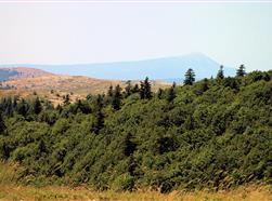 Montagne de Lure - Vue sur le Ventoux