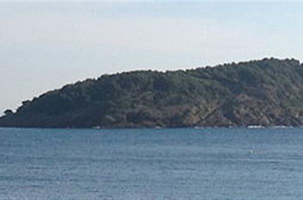 Île Verte (La Ciotat)