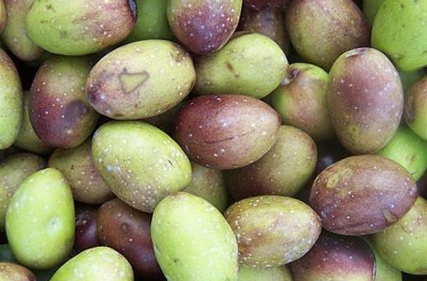 Olives