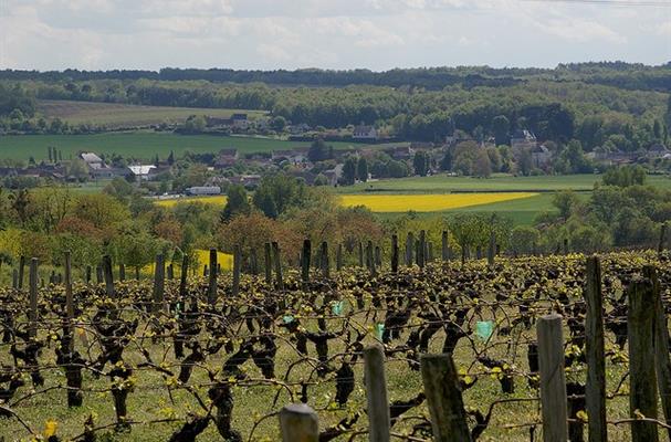 Coteaux