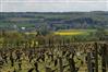 Coteaux