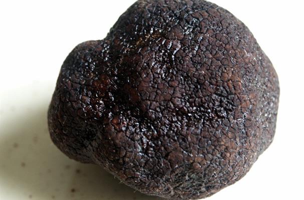 Truffe Noir