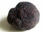 Truffe Noir