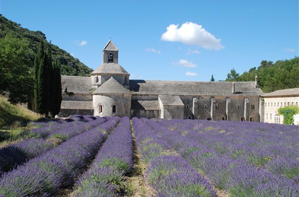 Abbaye de Senanques