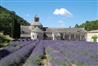 Abbaye de Senanques