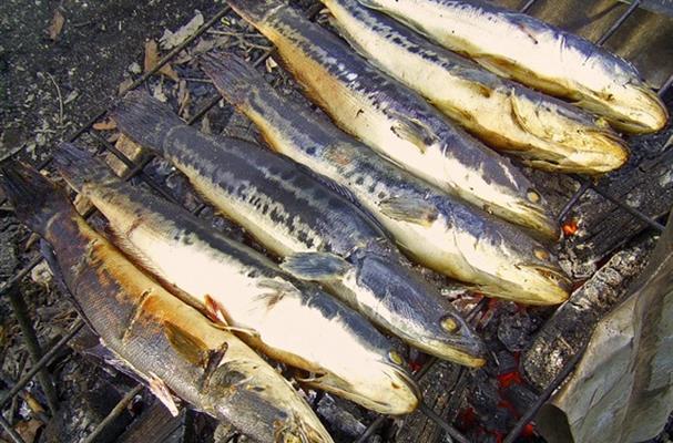 Sardinades à Martigues