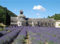 Résidence La Provence ***