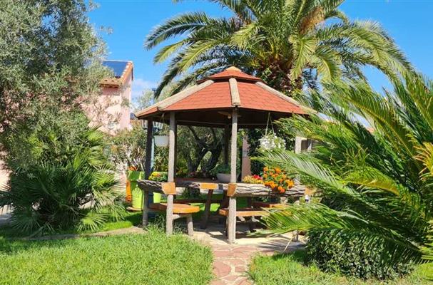 jardin arbore avec plante exotique et olivier de provence