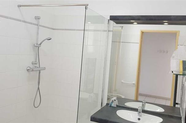 salle de bain avec douche et toilettes