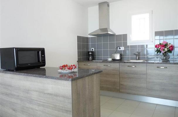 cuisine tout équipée avec plan de travail avec frigo, four micro onde, lave vaisselle, cafetiere, grille pain